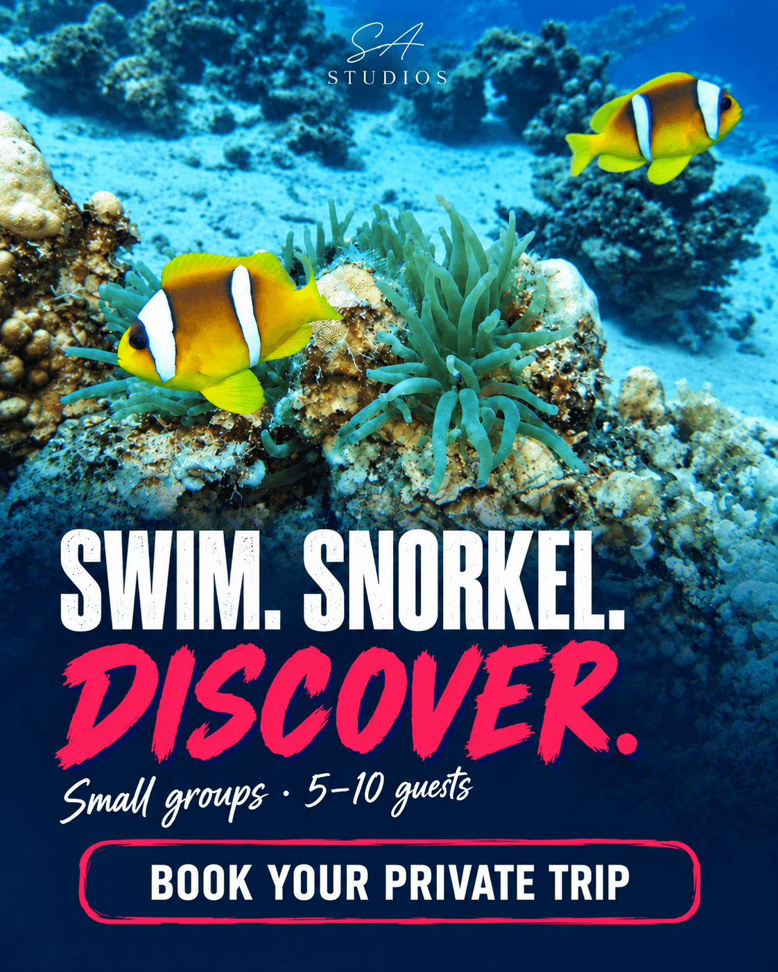 Diving & Snorkelling with SA Studios Dahab